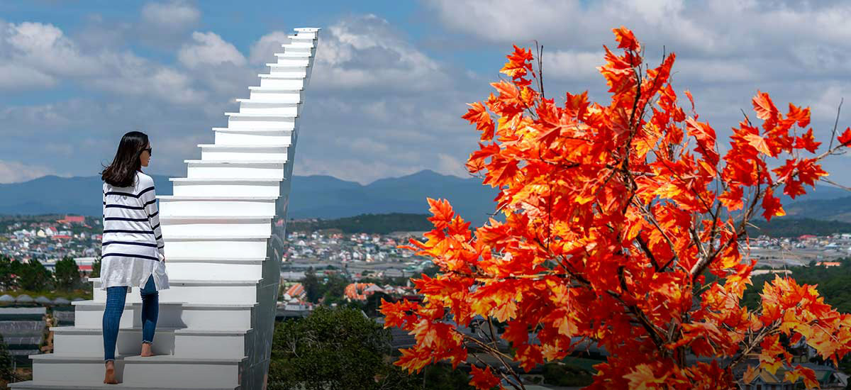 Sunny Farm (Dalat)