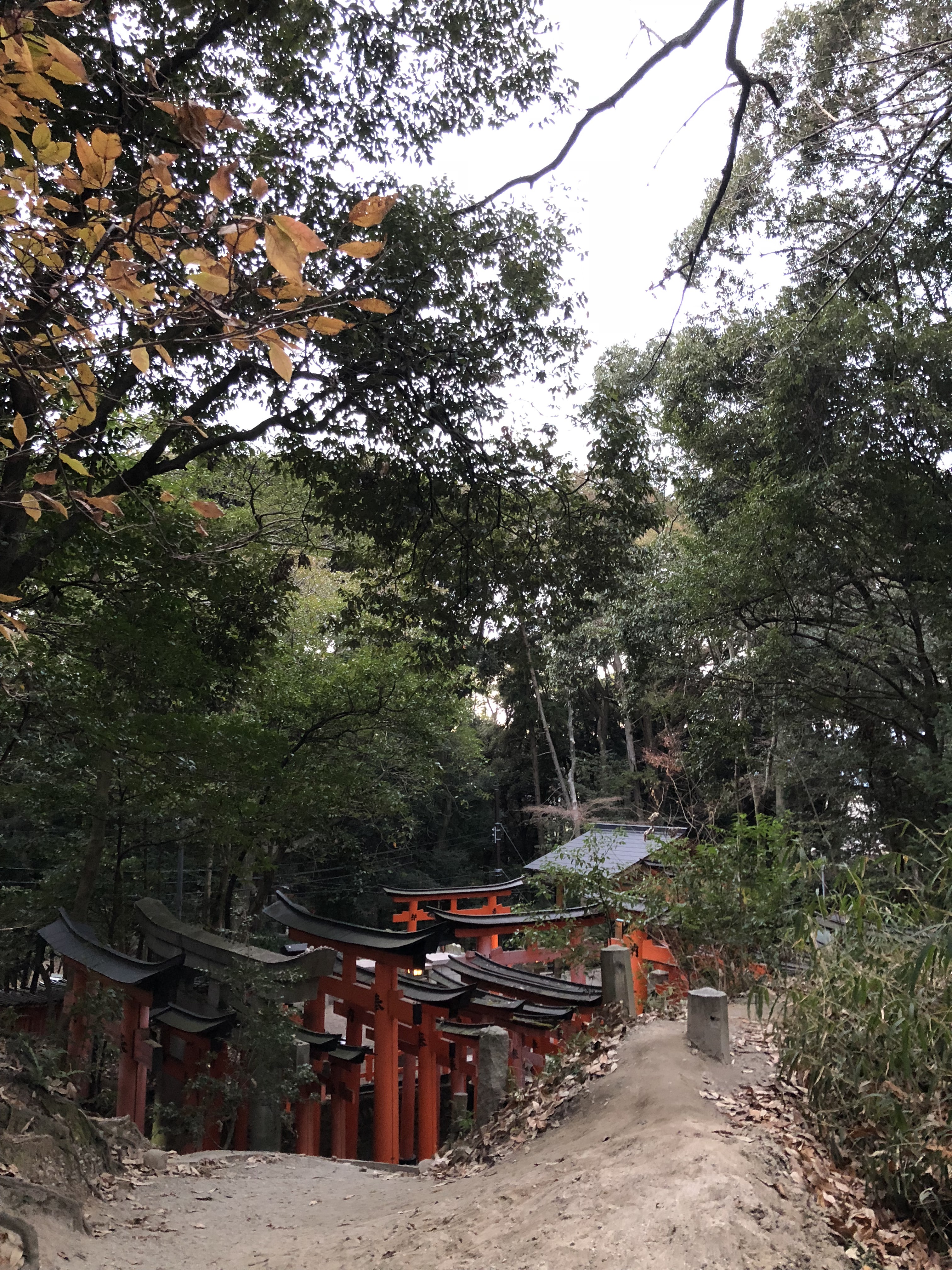 [京都] 靜到恐怖嘅神寶神社