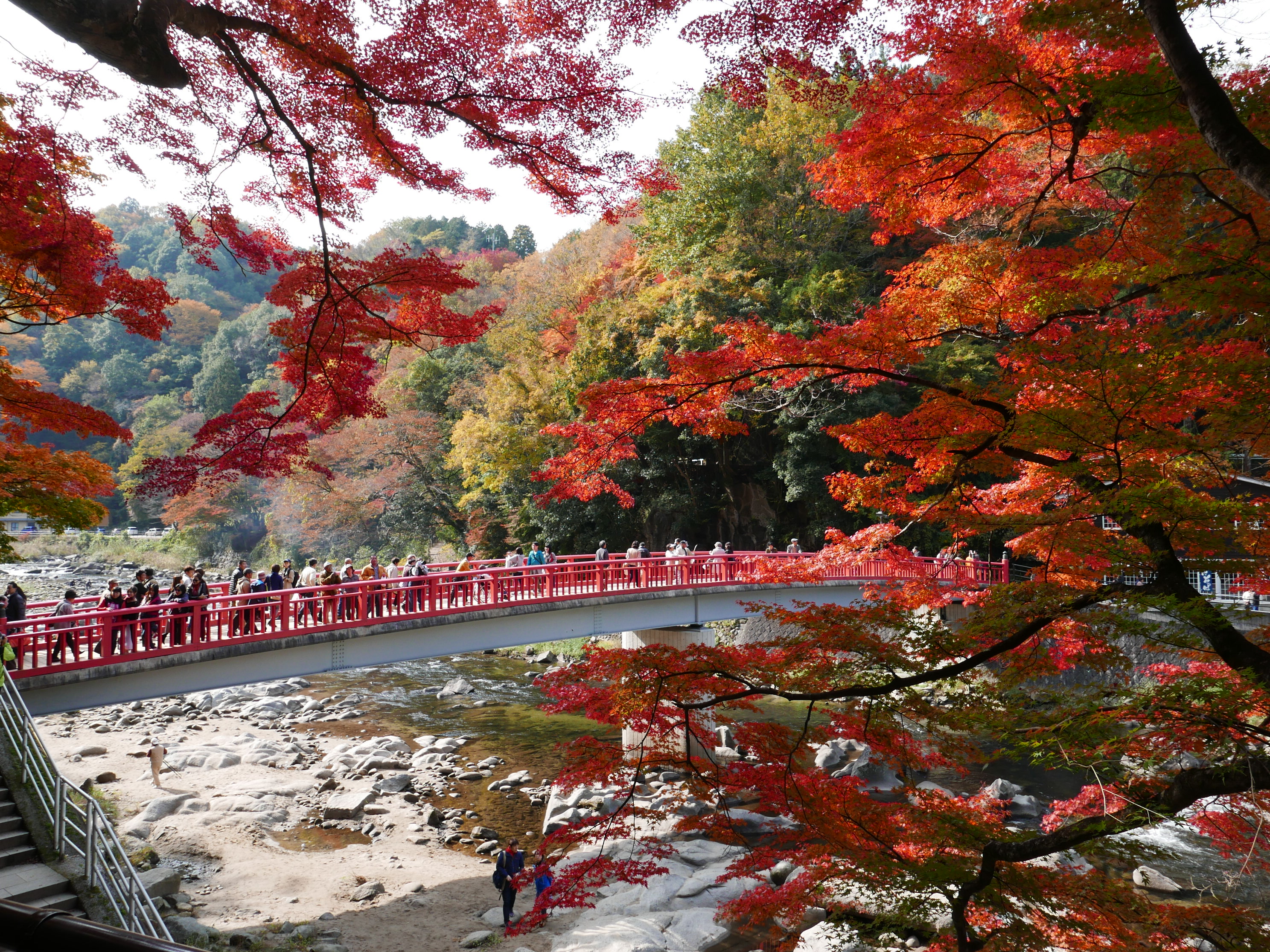 。日本紅葉名所。香嵐渓 [香嵐溪]。