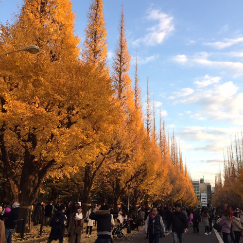 東京快閃送驚喜之旅