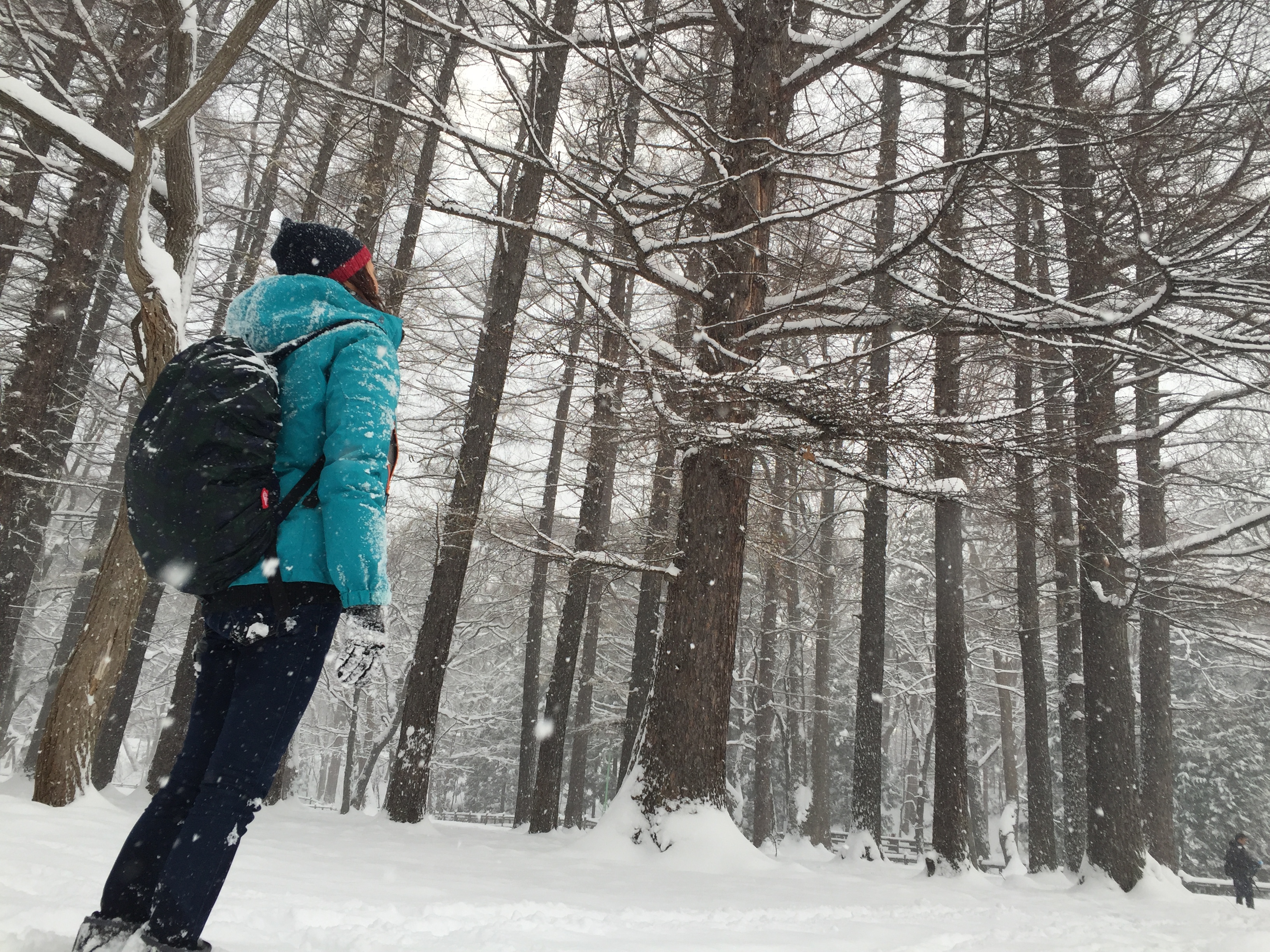 一個人的白色北海道之旅