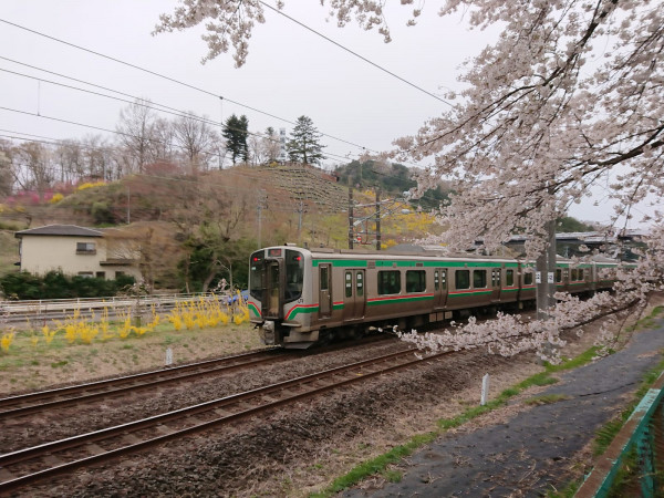 仙台東京，花花世界