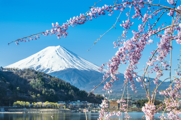 Japan resumes the entry of foreign tourists