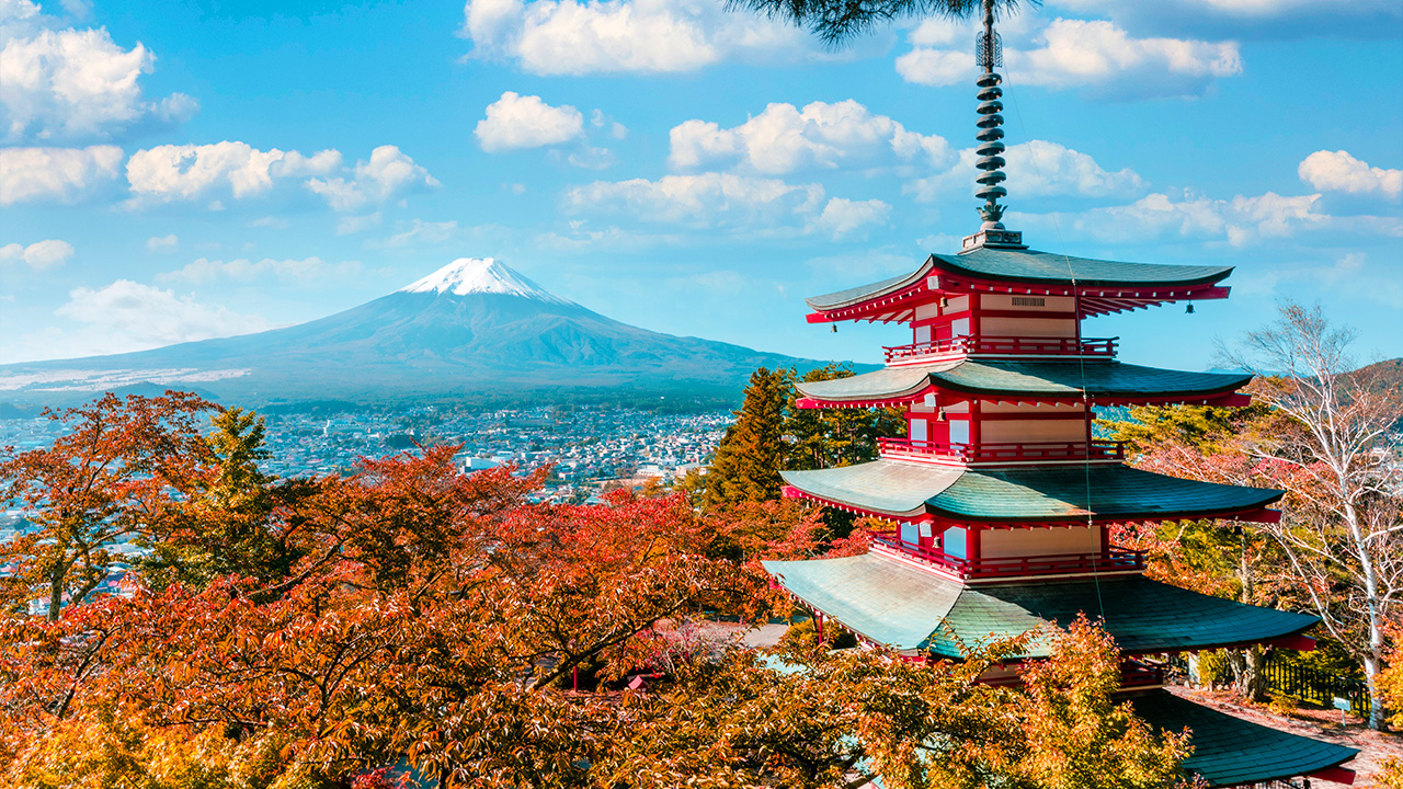 Tokyo 5D4N Travel Package