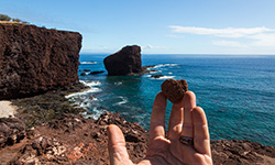 Thumb-3-Lanai