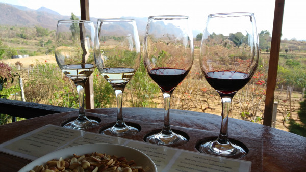 Red Mountain Vineyard品嚐紅酒看日落