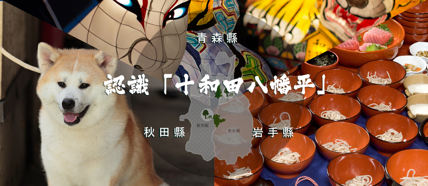 首爾必去大學校園逐個影！